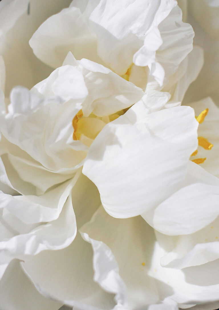 Intentional Living: Building a Life You Love