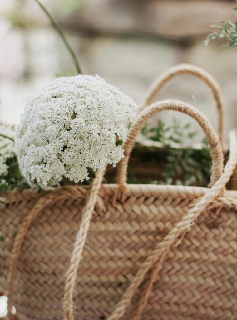 Morning Routines: Start Your Day Right